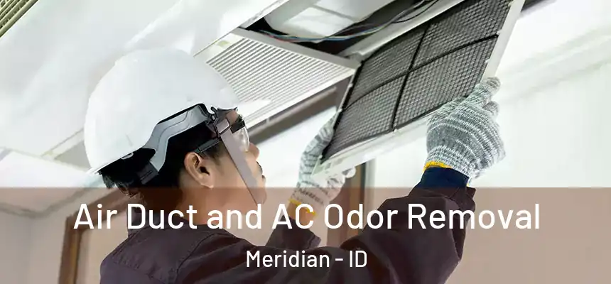  Air Duct and AC Odor Removal Meridian - ID