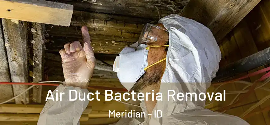  Air Duct Bacteria Removal Meridian - ID