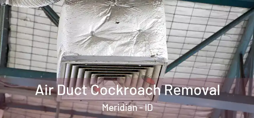  Air Duct Cockroach Removal Meridian - ID