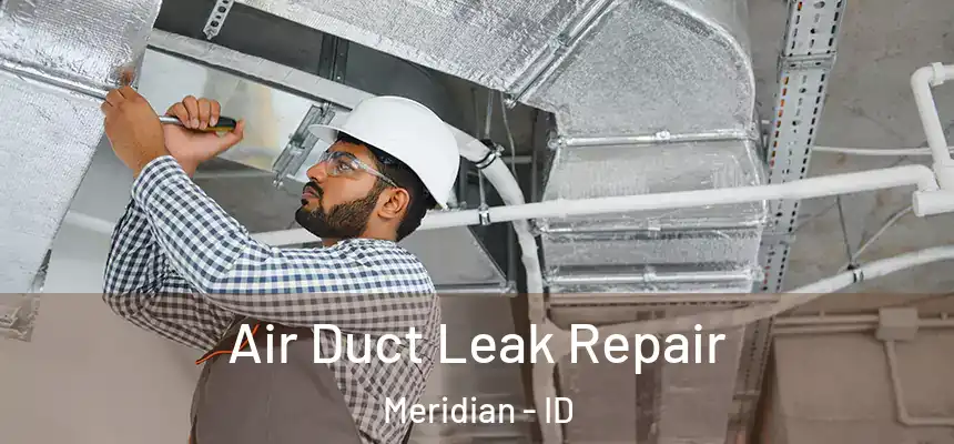  Air Duct Leak Repair Meridian - ID