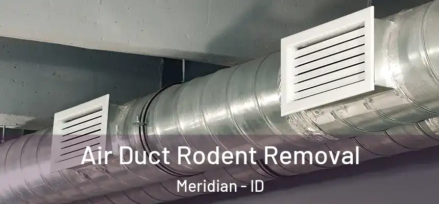  Air Duct Rodent Removal Meridian - ID