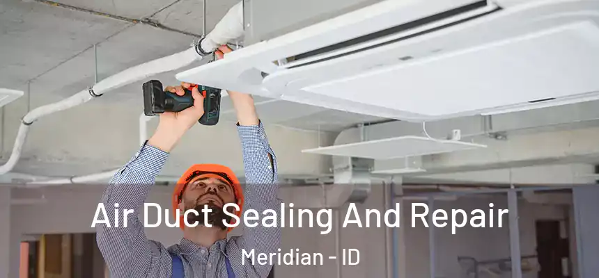  Air Duct Sealing And Repair Meridian - ID