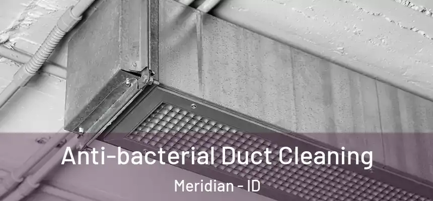  Anti-bacterial Duct Cleaning Meridian - ID