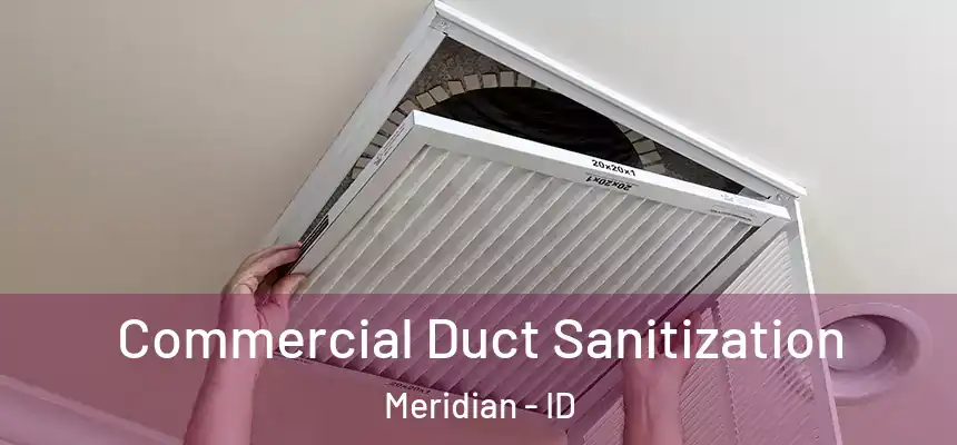  Commercial Duct Sanitization Meridian - ID
