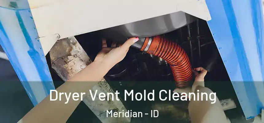  Dryer Vent Mold Cleaning Meridian - ID