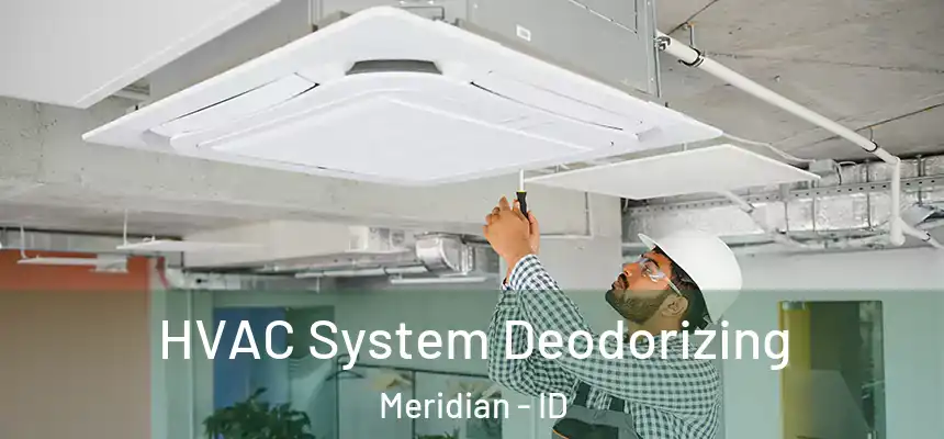  HVAC System Deodorizing Meridian - ID