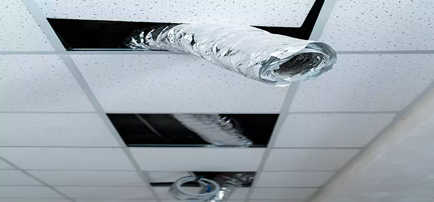 Our Air Duct Pet Hair Removal Services in Meridian, ID