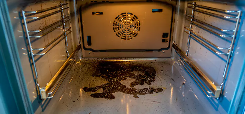 Our Dryer Vent Mold Cleaning Services in Meridian, ID