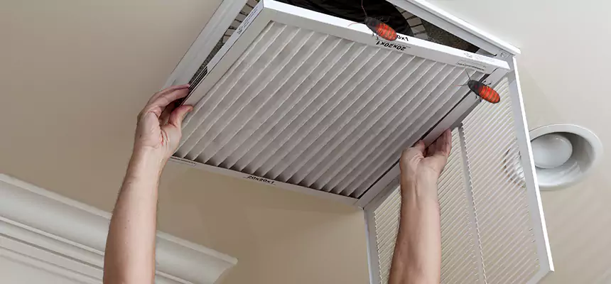 Our Insect Removal from Air Ducts Services in Meridian, ID