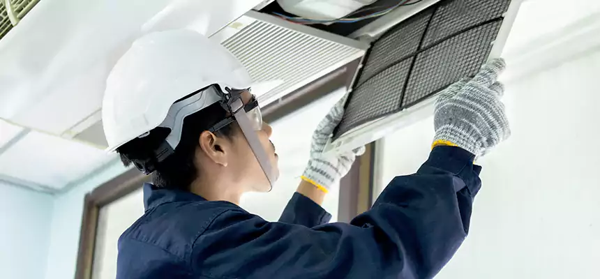 Our Mold & Mildew Removal from Air Ducts Services in Meridian, ID