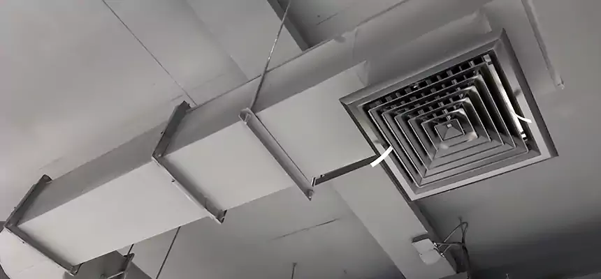 Our Pest Removal From Ducts Services in Meridian, ID