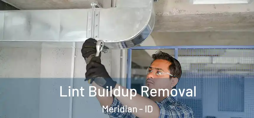  Lint Buildup Removal Meridian - ID