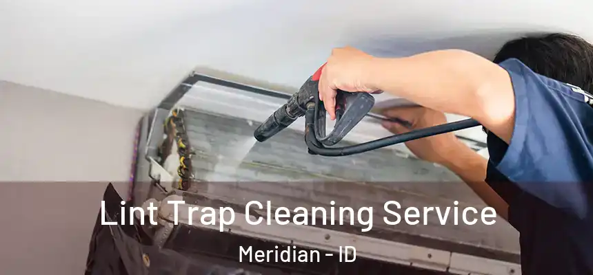 Lint Trap Cleaning Service Meridian - ID