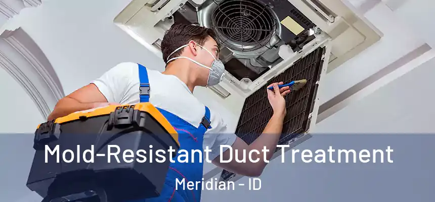  Mold-Resistant Duct Treatment Meridian - ID