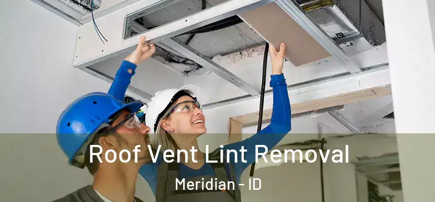  Roof Vent Lint Removal Meridian - ID
