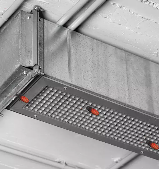 About Air Duct Cockroach Removal in Meridian, ID