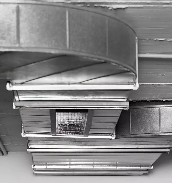 Professional Air Duct Pet Hair Removal in Meridian, ID