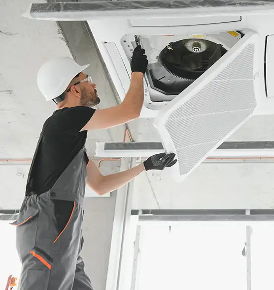 About Air Duct Rodent Removal in Meridian, ID