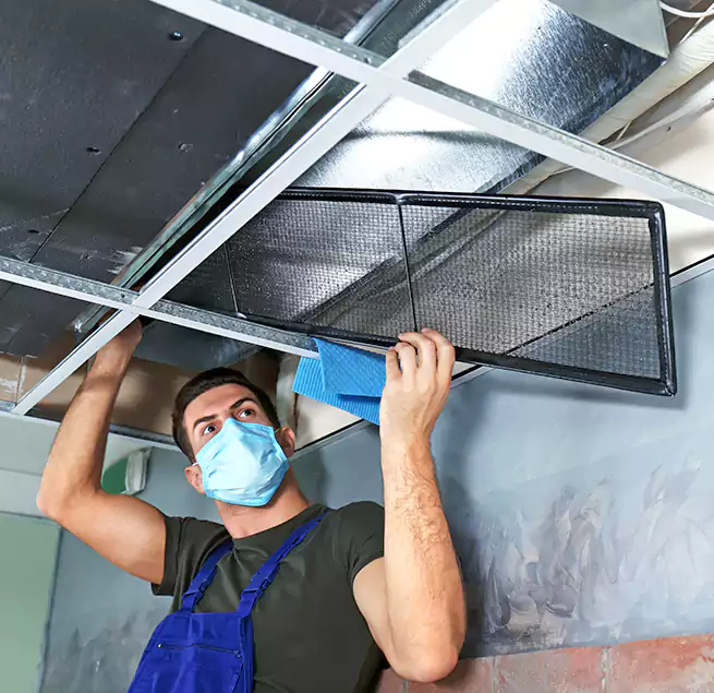 Why Homeowners Businesses Trust Us in Meridian, ID